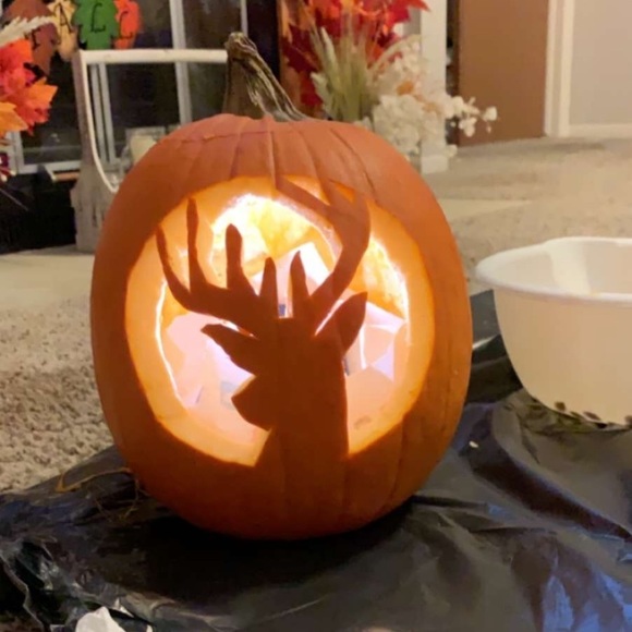 Meet your Posher, Nick - Picture 1 of 1